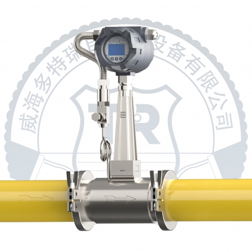 渦街流量計-卡箍連接