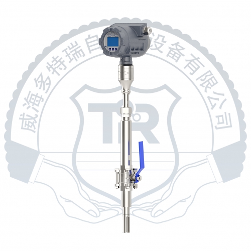 三代熱式氣體質(zhì)量流量計-插入式